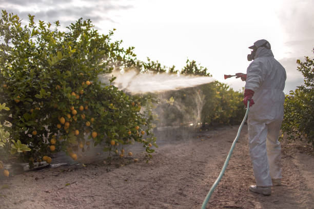 Best Best Pest Control Companies  in Gladeview, FL